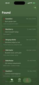 Briar Wild Edibles: Foraging screenshot
