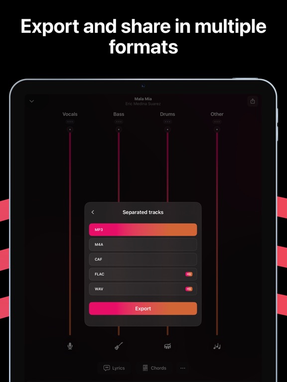 Stemz: remover vocal audio pro iPad screenshot 4 - Music app