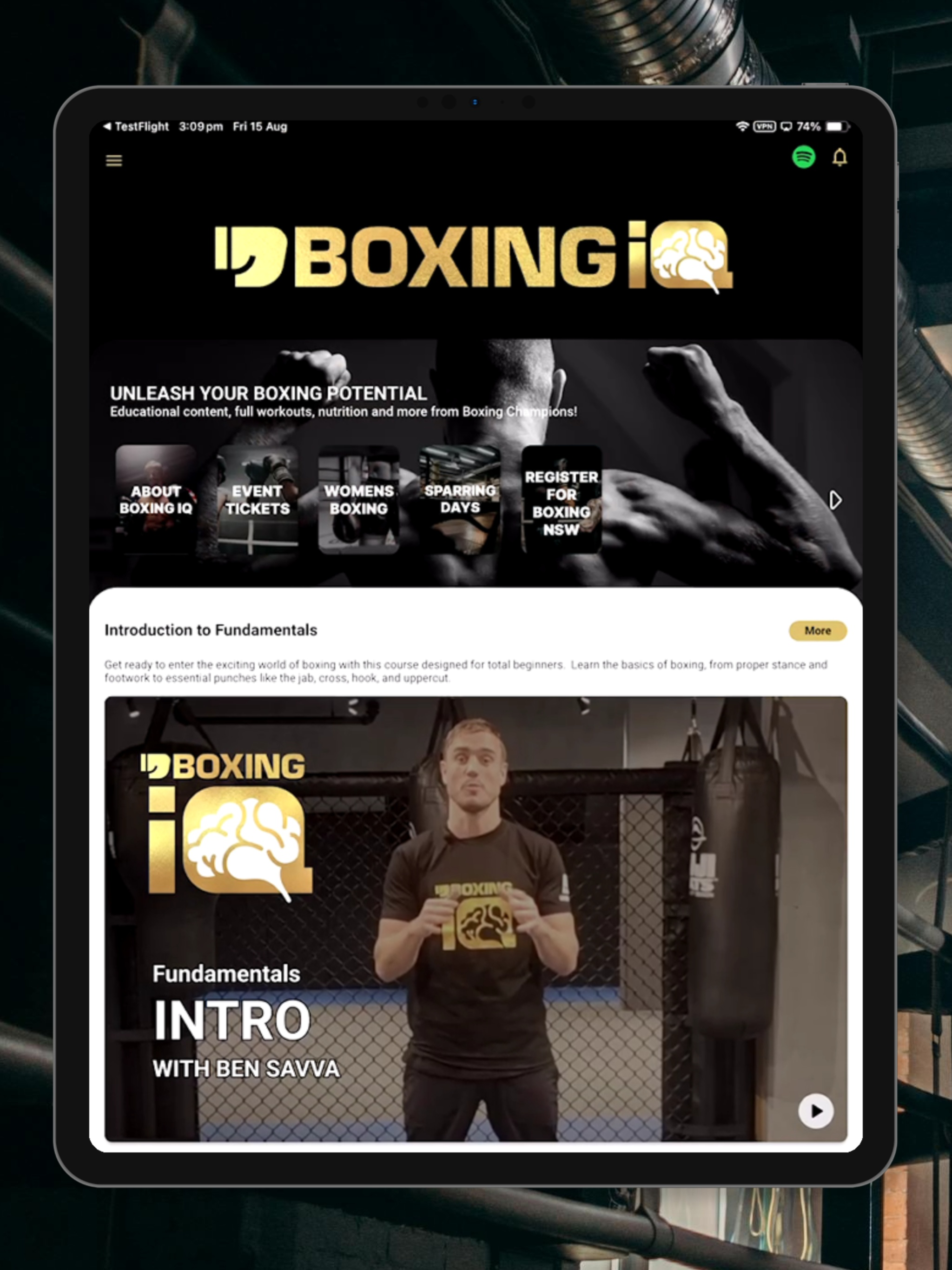 Boxing IQ
