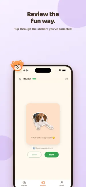VocaSnap: Photo Flashcards screenshot 4
