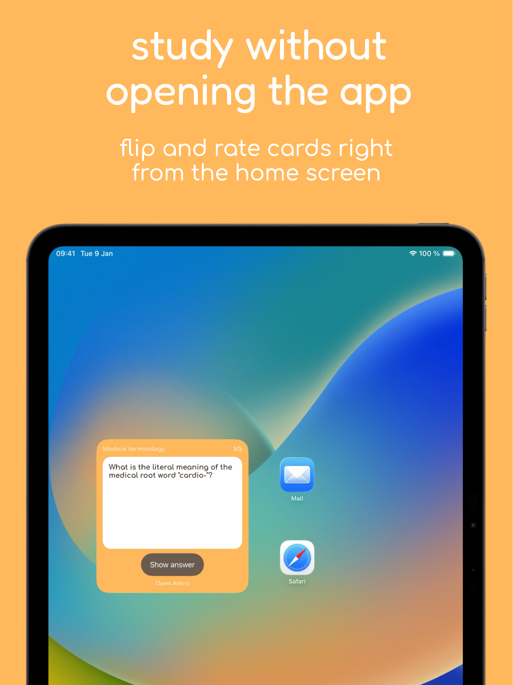 Ankra: Flashcards & Quizzes