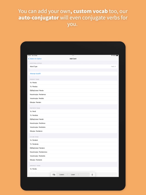 LinguaWidget iPad screenshot 4 - Education app