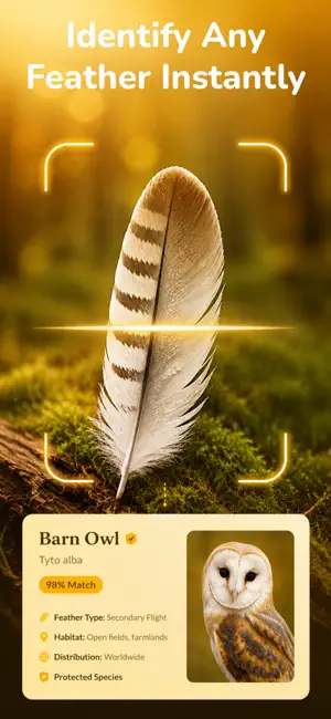 Feather Identifier: Scan AI screenshot 1