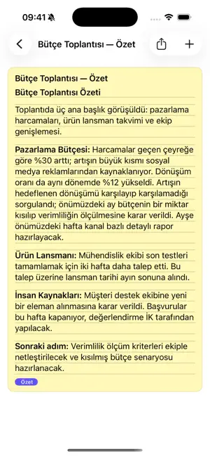Mindpin: Sesli Not screenshot 2