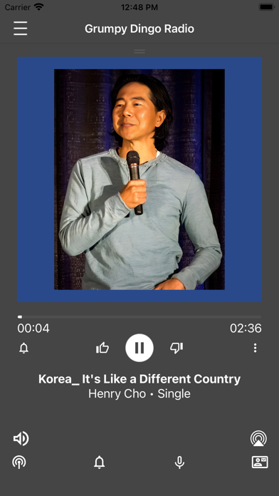 Grumpy Dingo Radio Screenshot