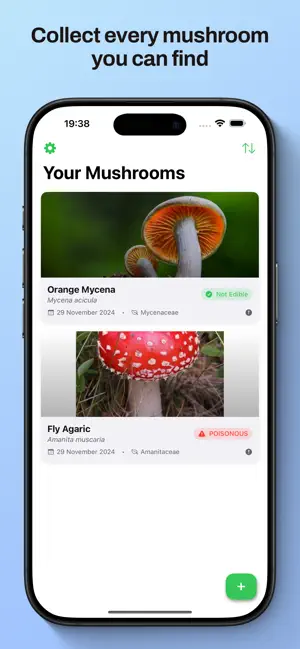 Mushroom Identifier ° screenshot 2