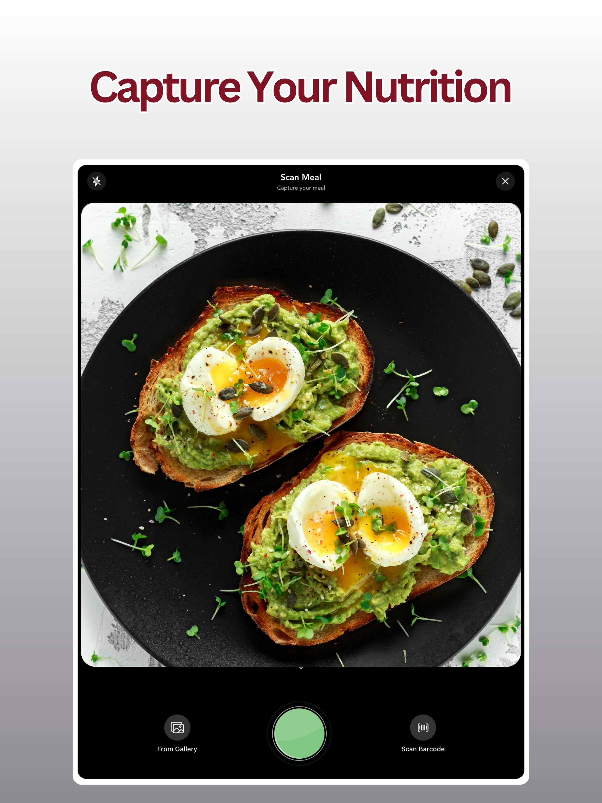 Catalyst Wellness Meal Planner
