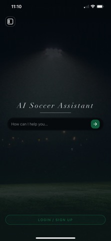AI Soccer Assistant screenshot