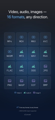oConvert: MP4 to MP3 Converter Screenshot 2 of 8