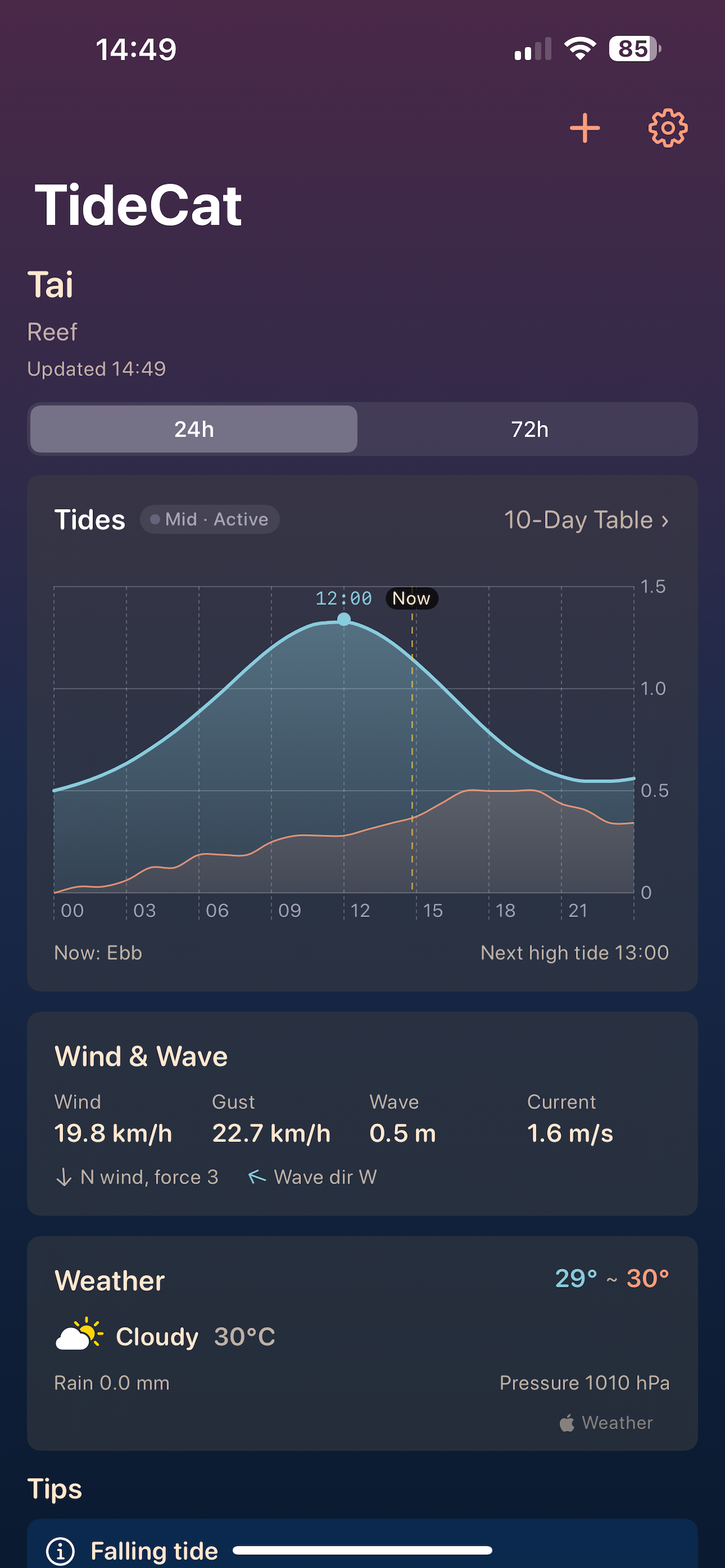 TideCat — Coastal Tides