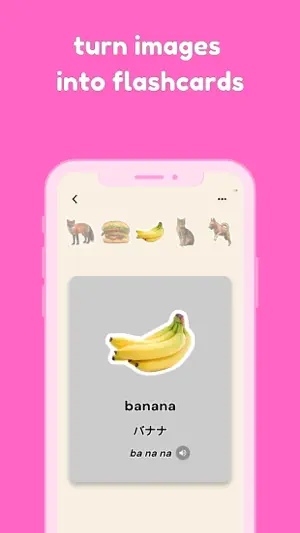 Photovocab: Vocab Flashcards screenshot 3