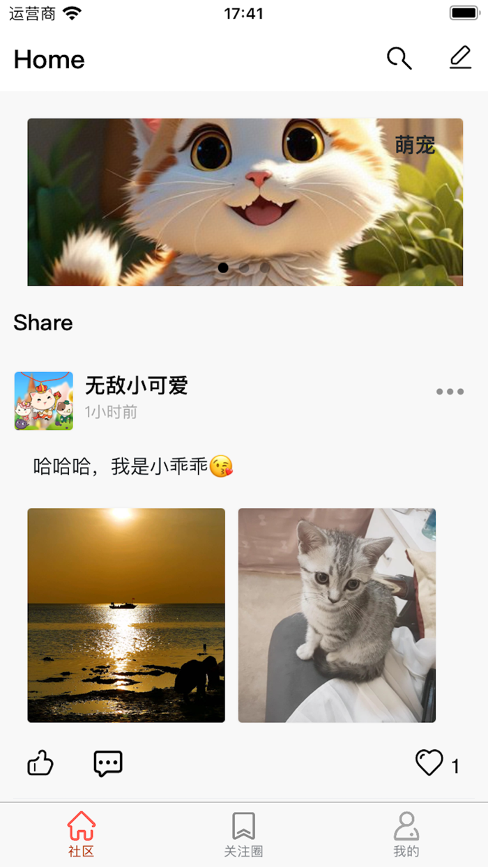 猫云宠物：你的休闲陪伴社区