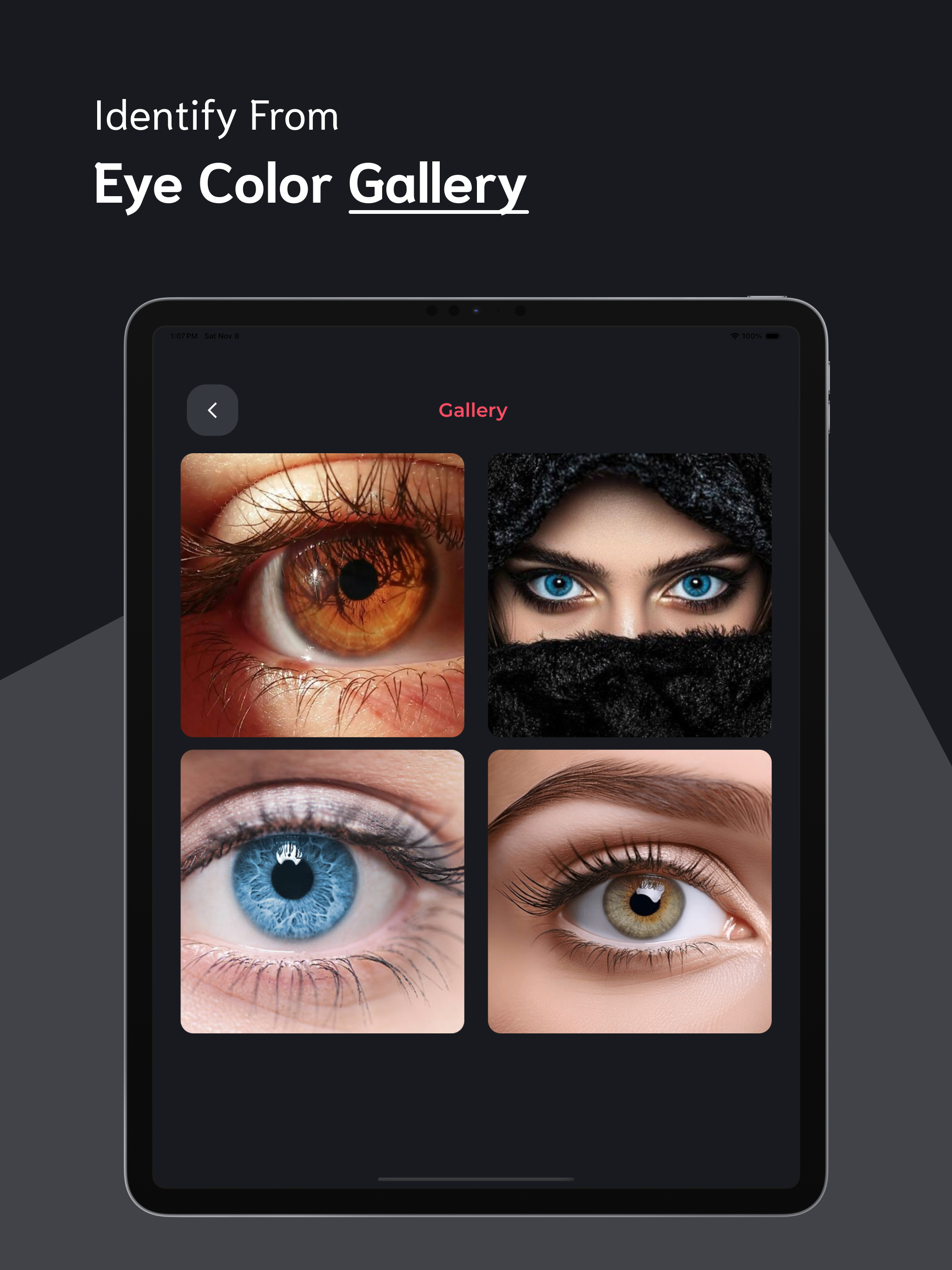 Eye Color Identifier - ECI