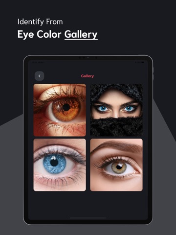 Eye Color Identifier - ECI iPad screenshot