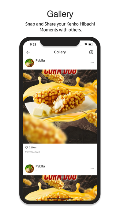 Kenko Hibachi Screenshot