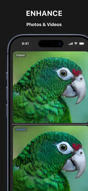 Pixzool: Video & Photo Editor screenshot 4