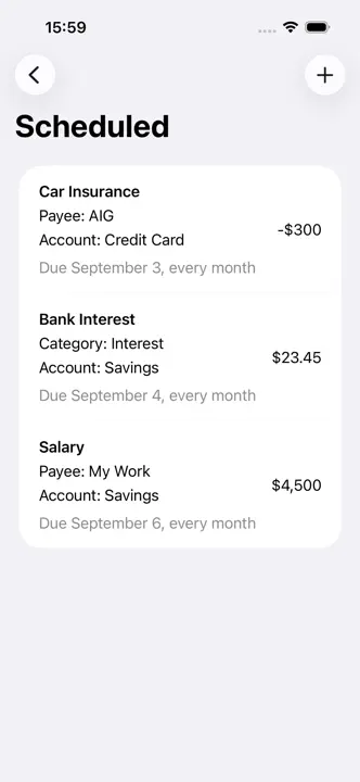 Debit & Credit: Screenshot 6 von 7