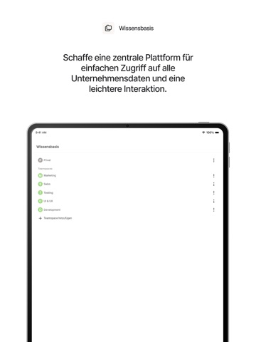 winkk AI iPad screenshot