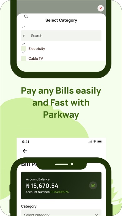 Parkway Microfinance Bank Screenshot