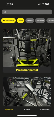 Valhalla Gym screenshot