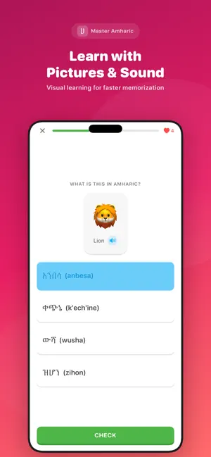 Master Amharic screenshot 2