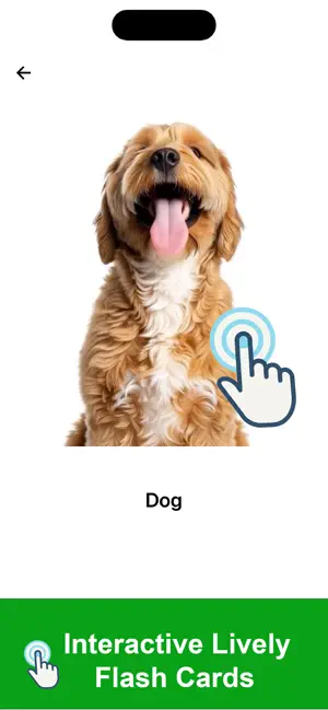 Toddler Flash Cards Peak&Speak screenshot 4