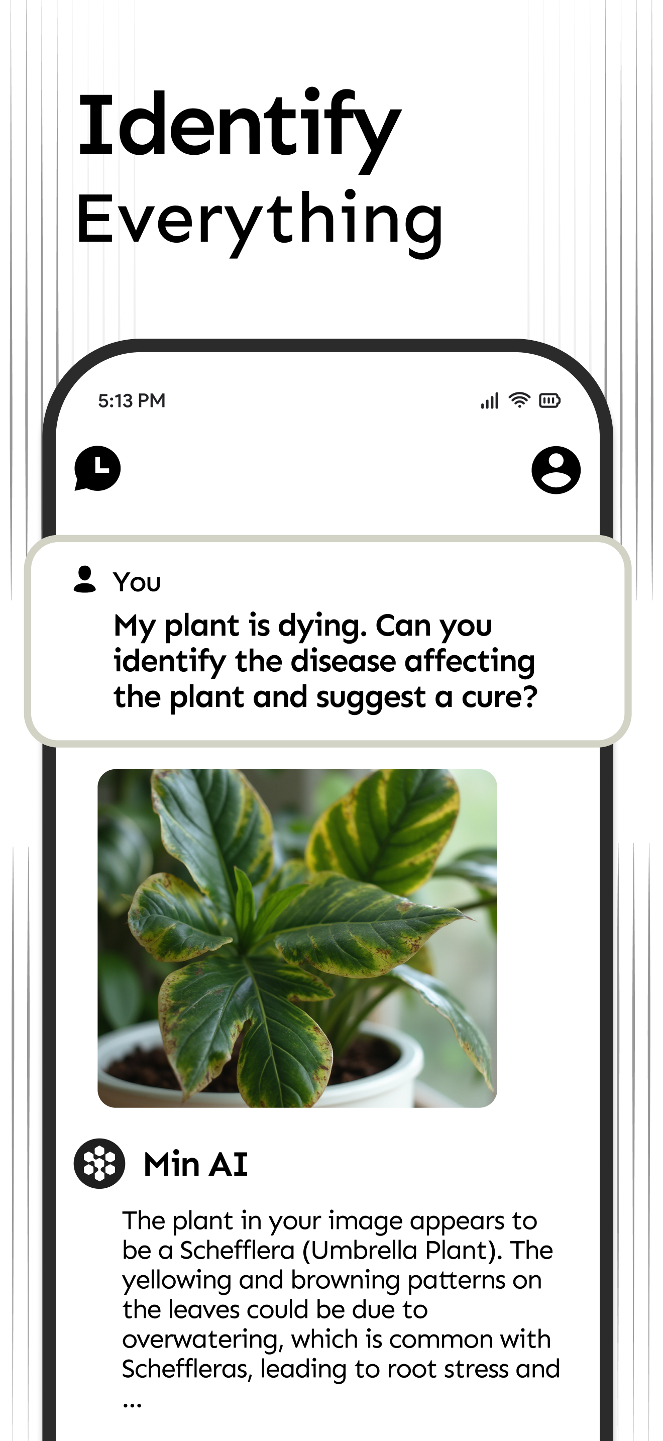 MinAI: Minimalistic AI Chatbot