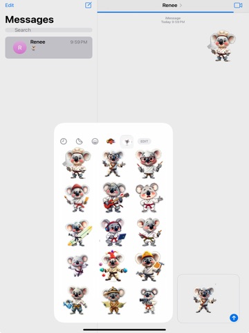 Karate Koala iPad screenshot