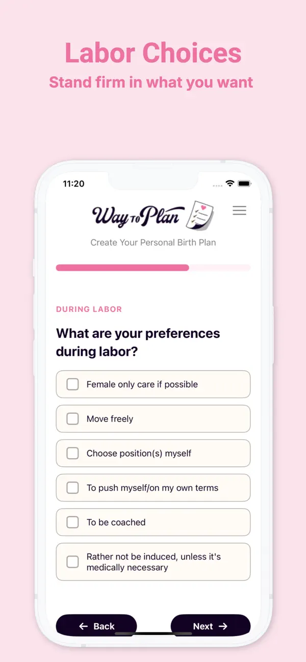Birth Plan Pregnancy Checklist Screenshot 4