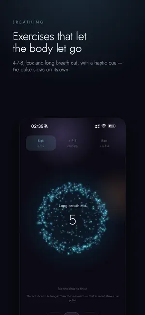 Nayri screenshot 2