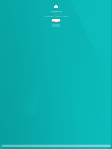 CABINET BOURRET ET ASSOCIES iPad screenshot
