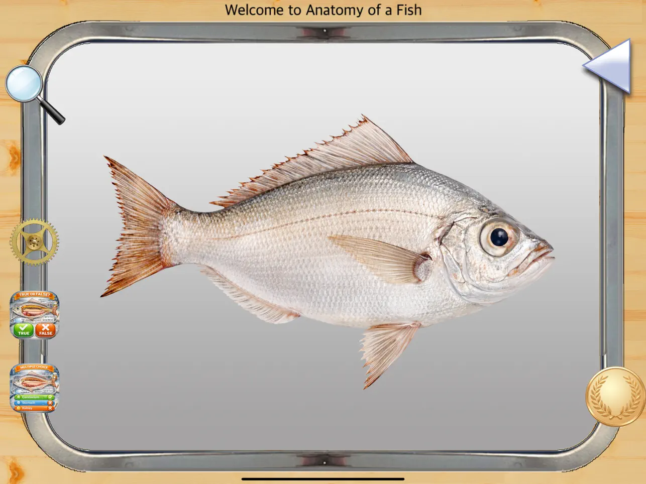 Screenshot #4 pour Anatomy of a Fish