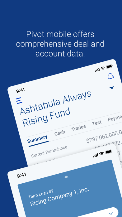 U.S. Bank Pivot Screenshot