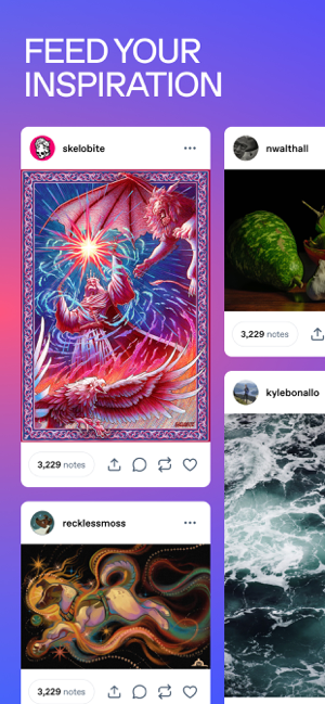 Tumblr: Social Media & Art Screenshot