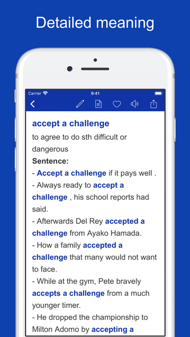 Screenshot #2 pour Common Phrases & Collocations