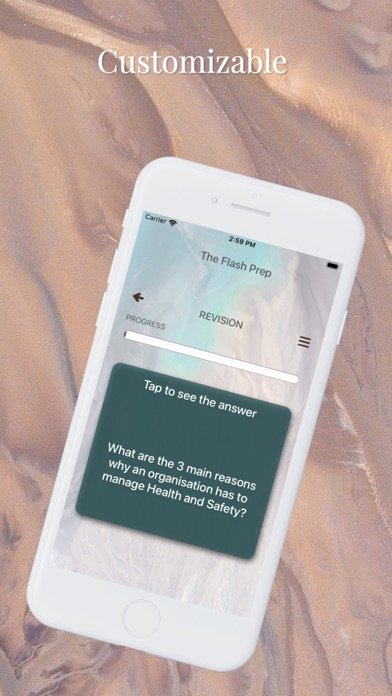REMIC Exam Flashcards Screenshot