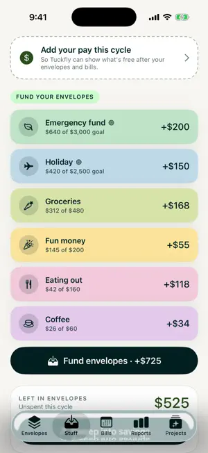 Tuckfly: Budget screenshot 4