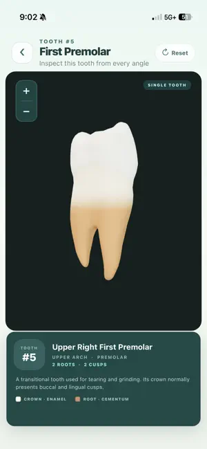 ToothTutor screenshot 3