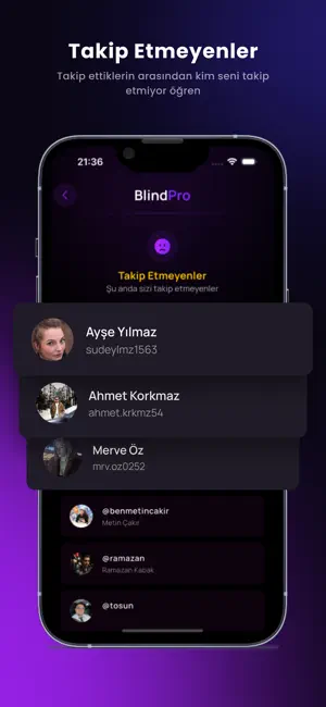 BlindPro - Analiz screenshot 3