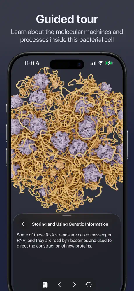 CellWalk screenshot 2