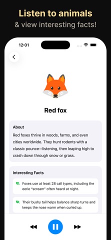 Cute Animals: Sounds + More Screenshot 3 of 3