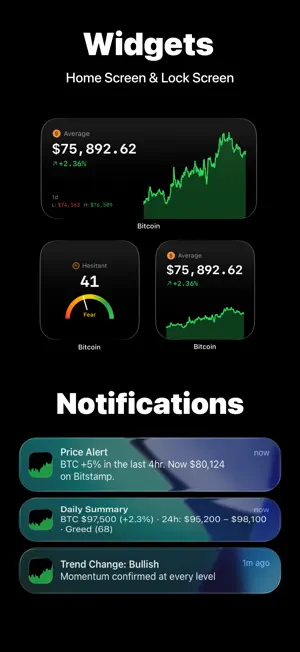 Bitcoin Price: Real Time screenshot 3