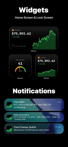 Bitcoin Price: Real Time screenshot
