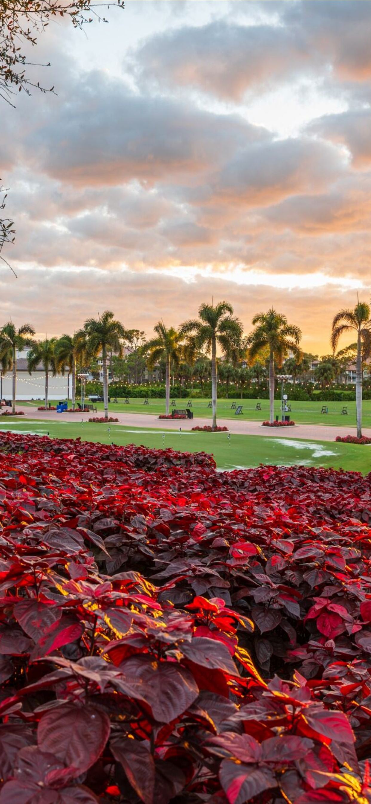 Bonita Bay Club (Members Only)