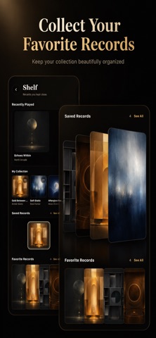 VinylRoom Screenshot 4 of 5