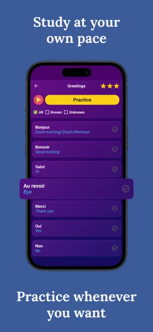Learn French (Beginners) screenshot 3