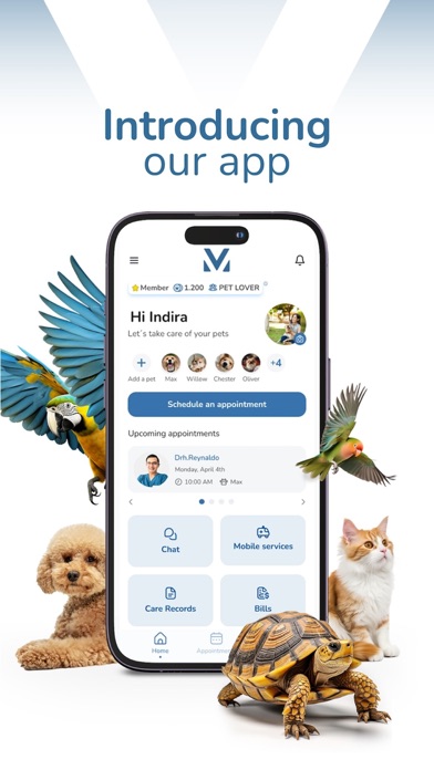 modernvet Screenshot