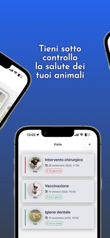 Animio screenshot