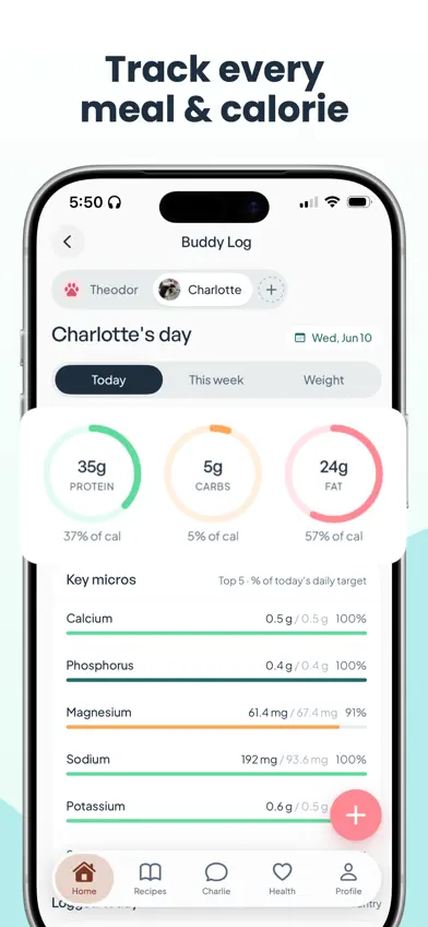 NatBuddy: Dog Food Scanner screenshot 3