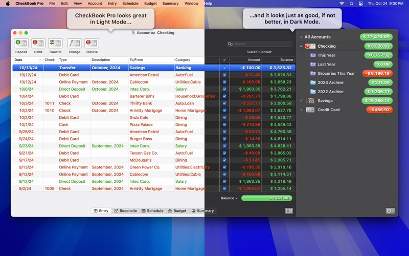 CheckBook Pro 3 Screenshot